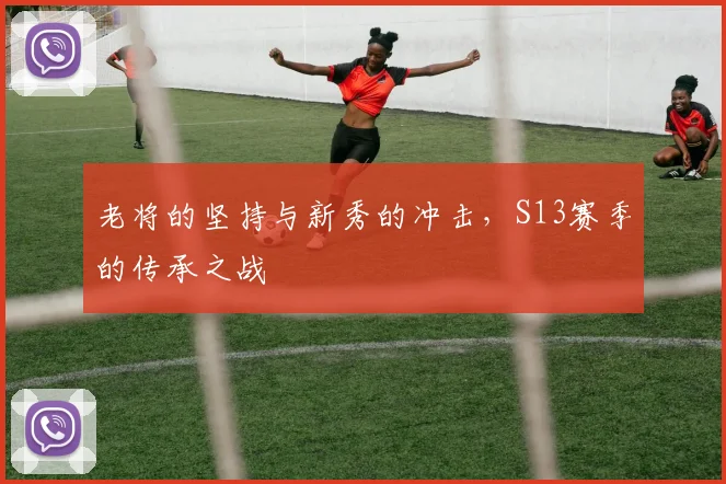 老将的坚持与新秀的冲击,S13赛季的传承之战